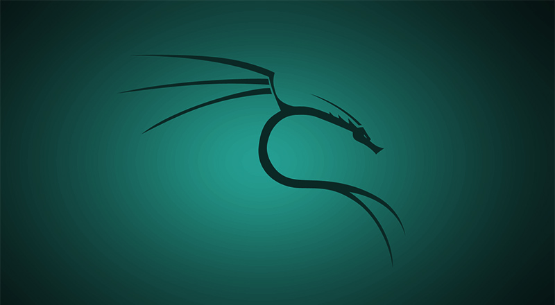 Kali Linux 2025.2 Arm64